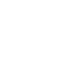 リンゴアイコン6